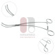 DeBakey Bahnson clamp